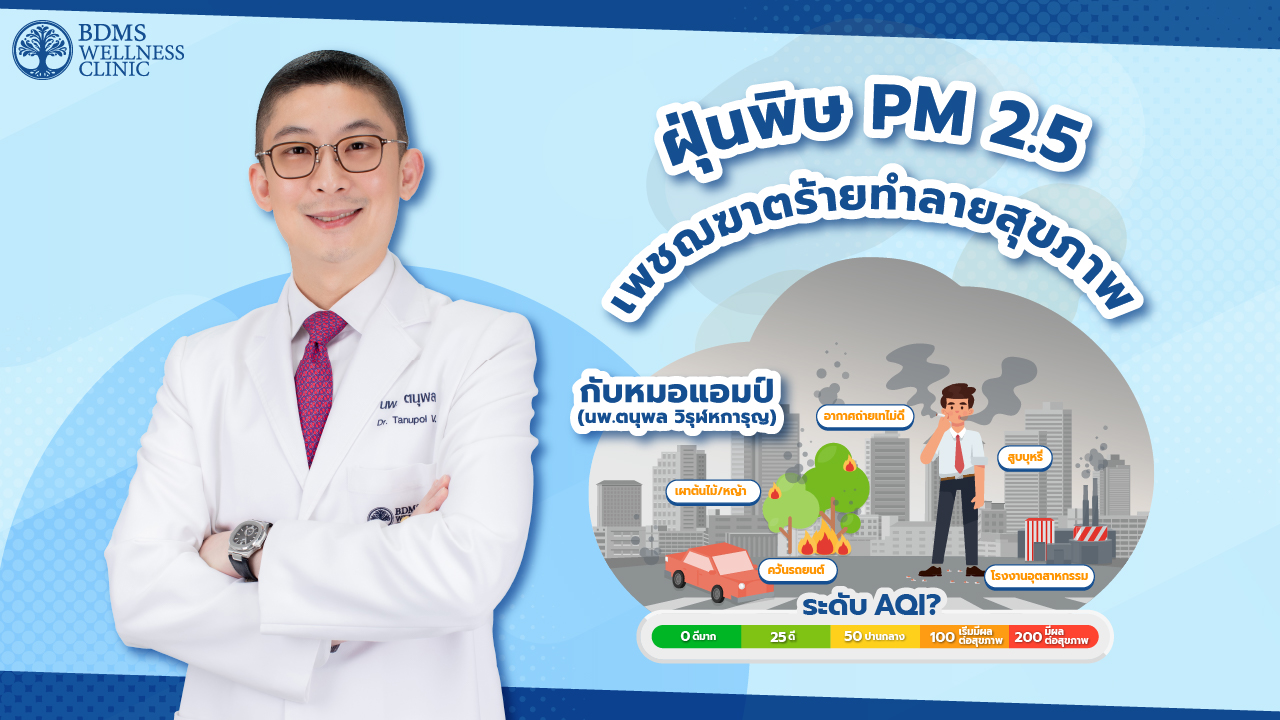 ฝุ่นพิษ