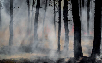 ไฟป่า ไฟไหม้ ป่า จุดความร้อน มลพิษ
