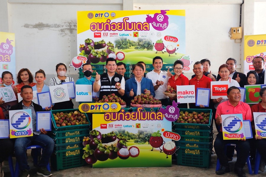กรมการค้าภายในใช้ “อมก๋อย โมเดล” ประสานผู้ประกอบการซื้อมังคุด 8,500 ตัน