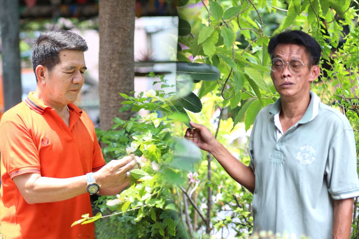 “เคหะชุมชนดินแดง” เดินหน้าพัฒนา “สิ่งแวดล้อม-สังคม-เศรษฐกิจ”
