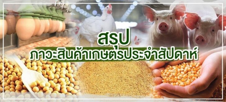 สรุปภาวะสินค้า