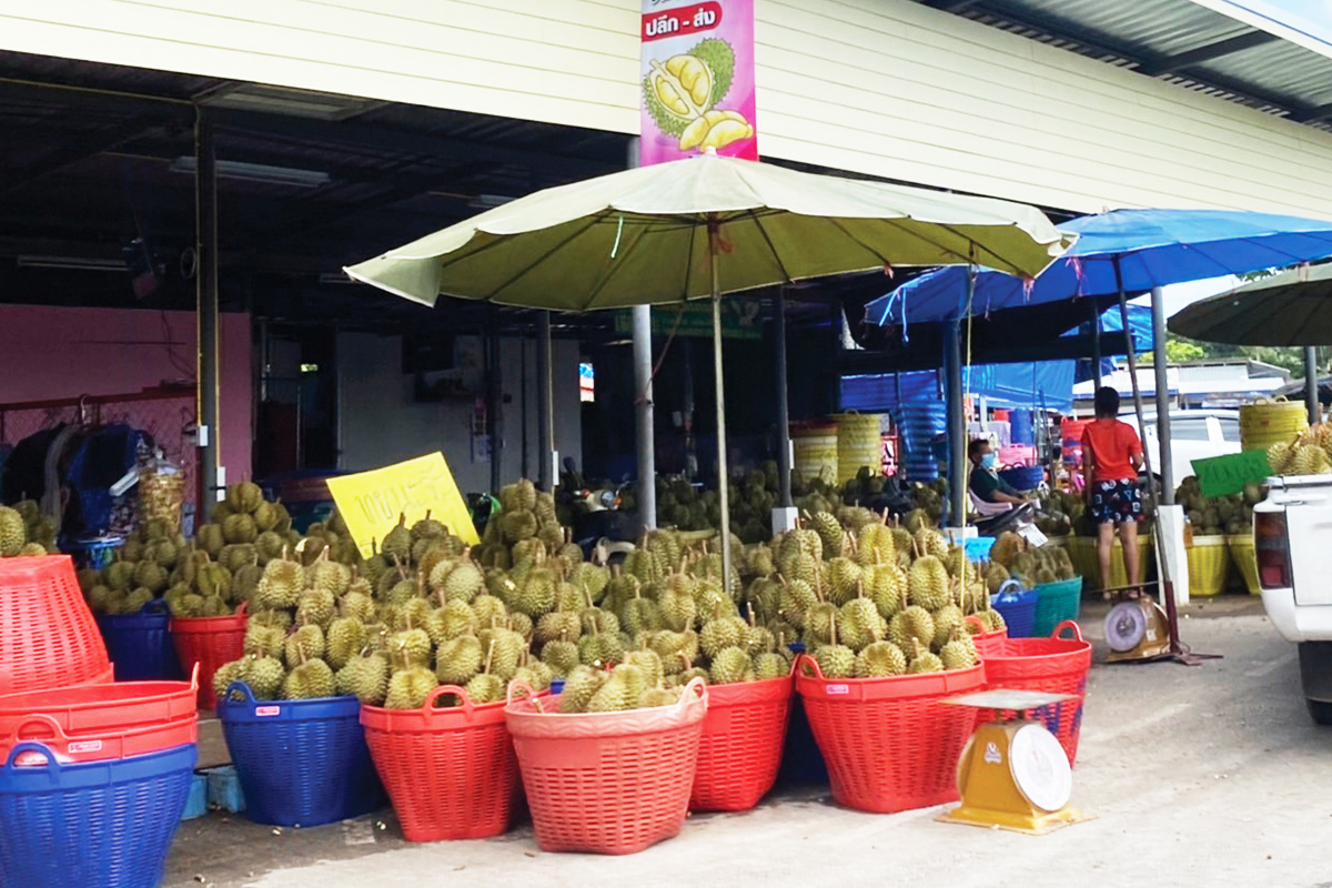 “ตลาดเนินสูง” จันทบุรี แผงค้าส่ง “ทุเรียน” ใหญ่สุดในไทย