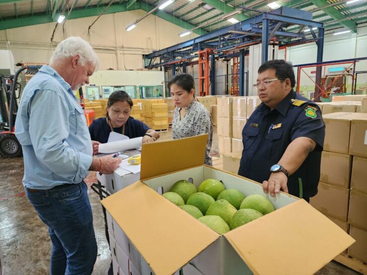 สหรัฐไฟเขียวนำเข้าส้มโอสดไทย