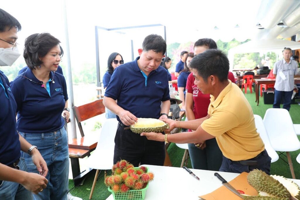 ส่งออกทุเรียน