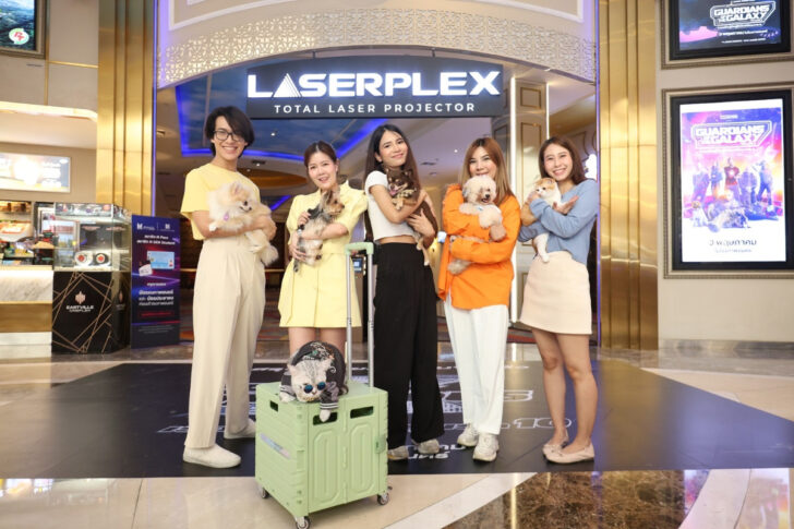 i-Tail Pet Cinema โรงหนังสำหรับคนรักหมา-แมว