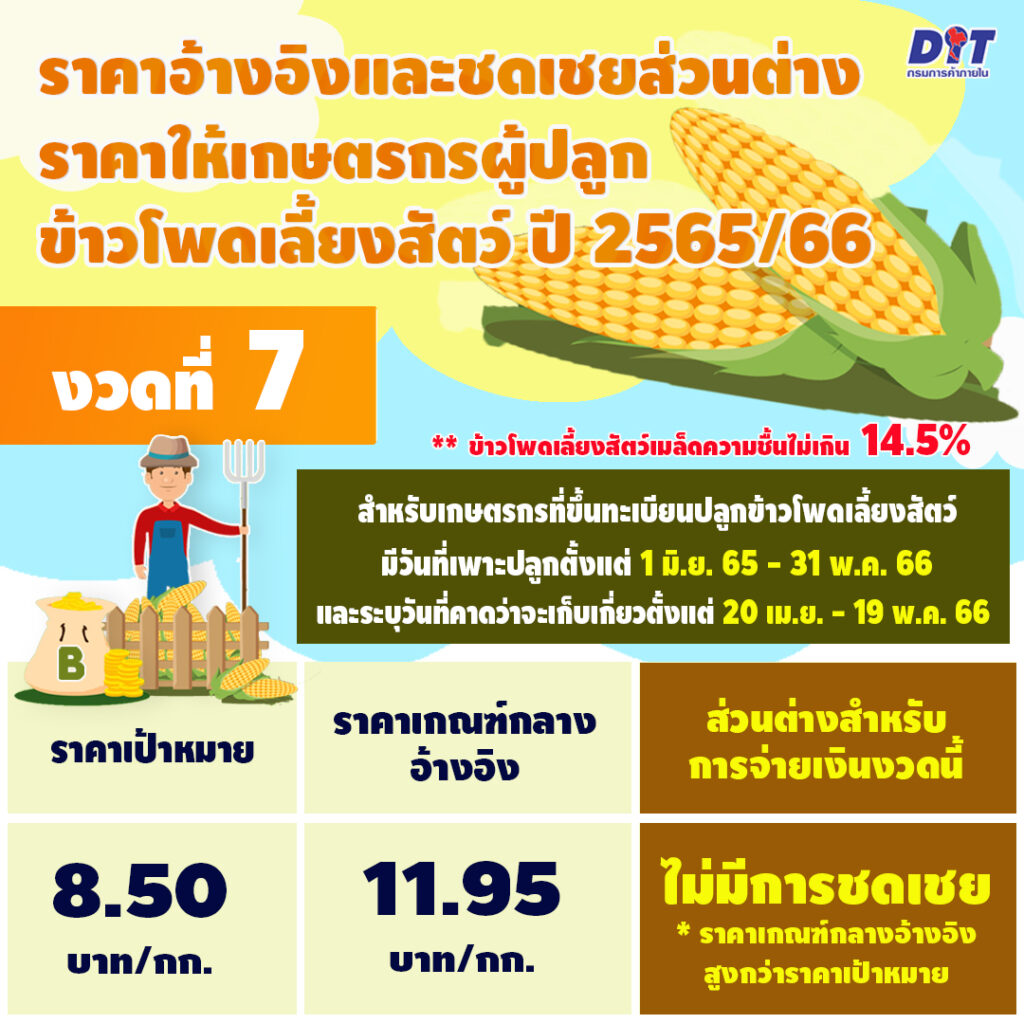 ประกันรายได้ ข้าวโพดเลี้ยงสัตว์ 