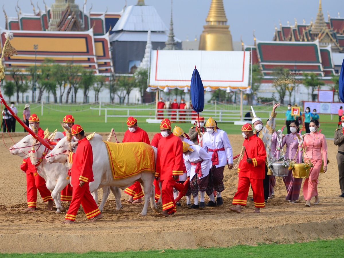 ซ้อมใหญ่พิธีแรกนาขวัญประจำปี 66 ปลัดเกษตรฯ ยัน ทุกฝ่ายพร้อมจัดงาน