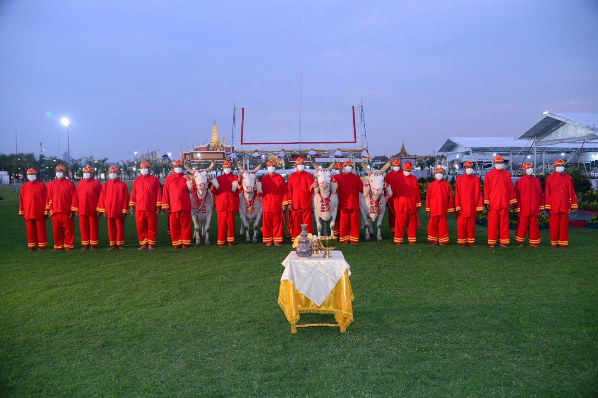 รวมภาพพิธีสวดมนต์พระราชพิธีพืชมงคล-พิธีล้างมือพระยาแรกนาเจิมหน้าพระโค