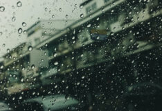 ฤดูฝน ฝนตก ฝน