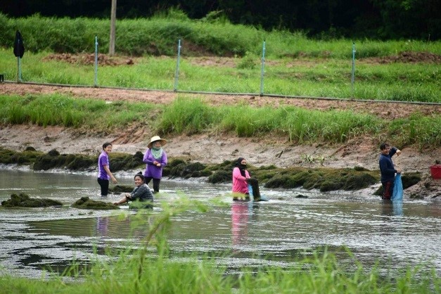 กรมทรัพยากรน้ำ เร่งกระจายน้ำเพื่ออุปโภคบริโภคและเสริมการเกษตร