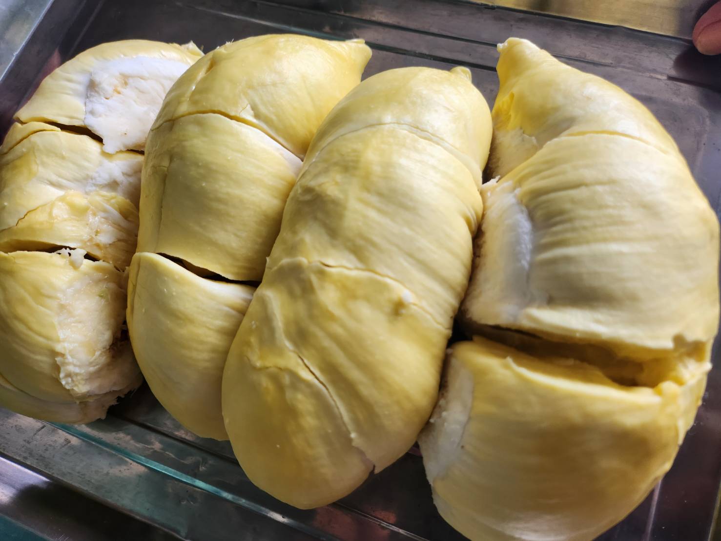 ทุเรียน