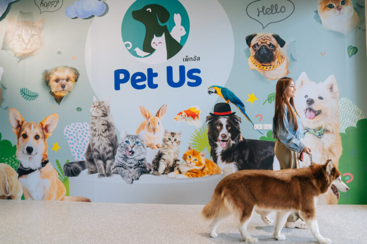 Pet Us Pet Us