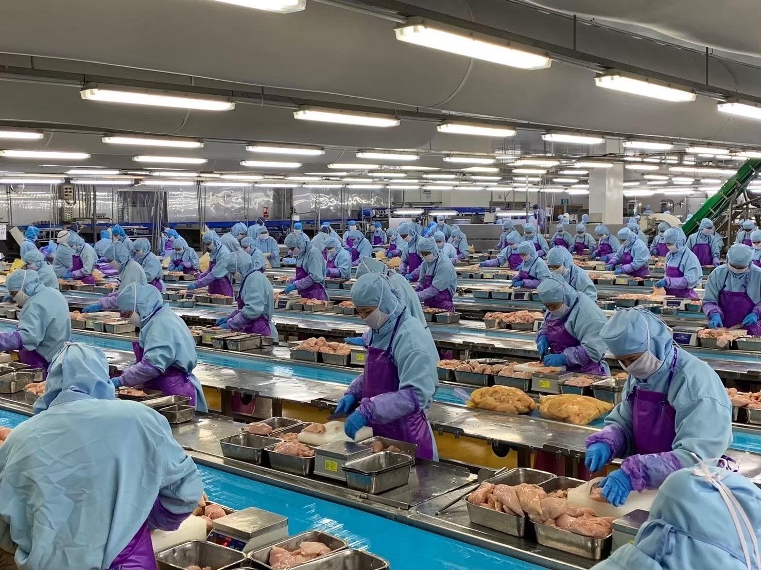 มาเลเซียรับรองโรงงานผลิตสินค้าปศุสัตว์ไทยเพิ่มอีก 11 แห่ง