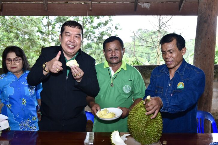 ผลผลิตทุเรียน ผลผลิตทุเรียน
