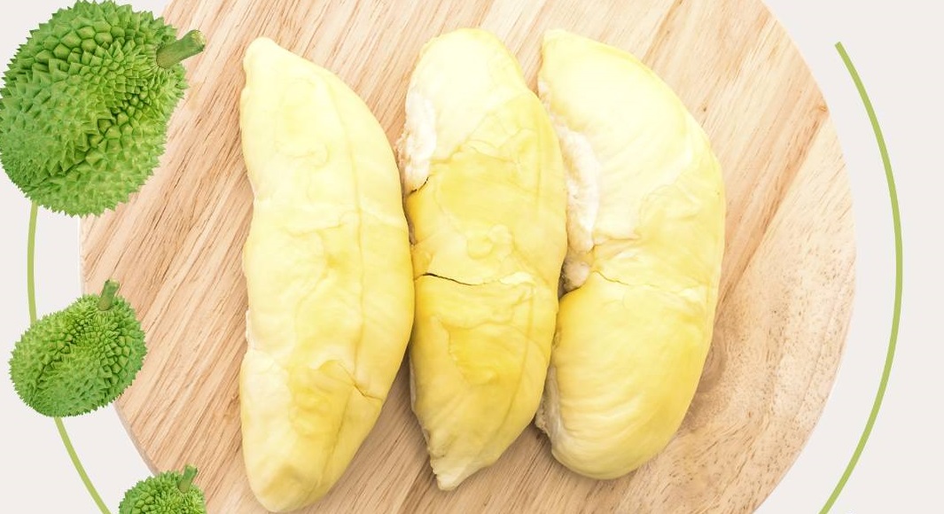 คอทุเรียนห้ามพลาด! ธ.ก.ส. ชวนชิมช็อปทุเรียนภูเขาไฟศรีสะเกษ 22-23 มิ.ย.