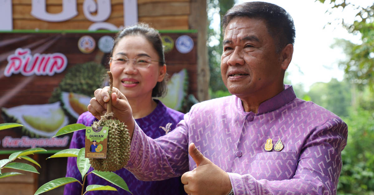 อุตรดิตถ์ จัดเทศกาลทุเรียนหลง-หลินลับแล หนุนเกษตรกร 4 หมื่นไร่