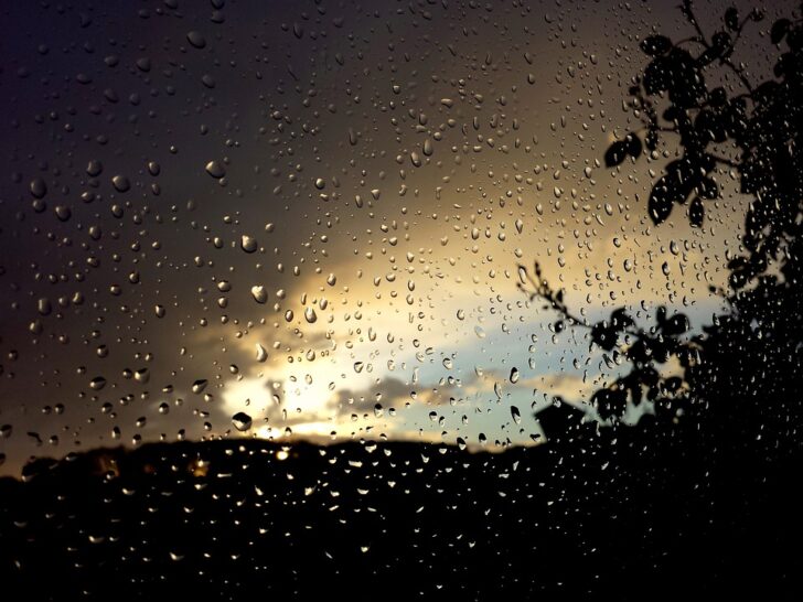 ฝนตก ฝนตก