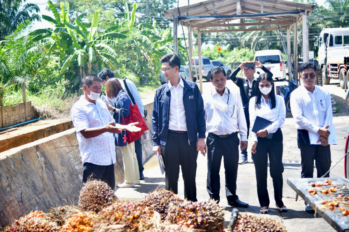 สกัดโกงตาชั่งน้ำมันปาล์ม พาณิชย์ลงพื้นที่ตรวจเข้ม