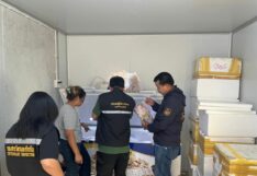 เนื้อสัตว์เถื่อน