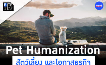 สัตว์เลี้ยง หมา แมว Pet Humanization