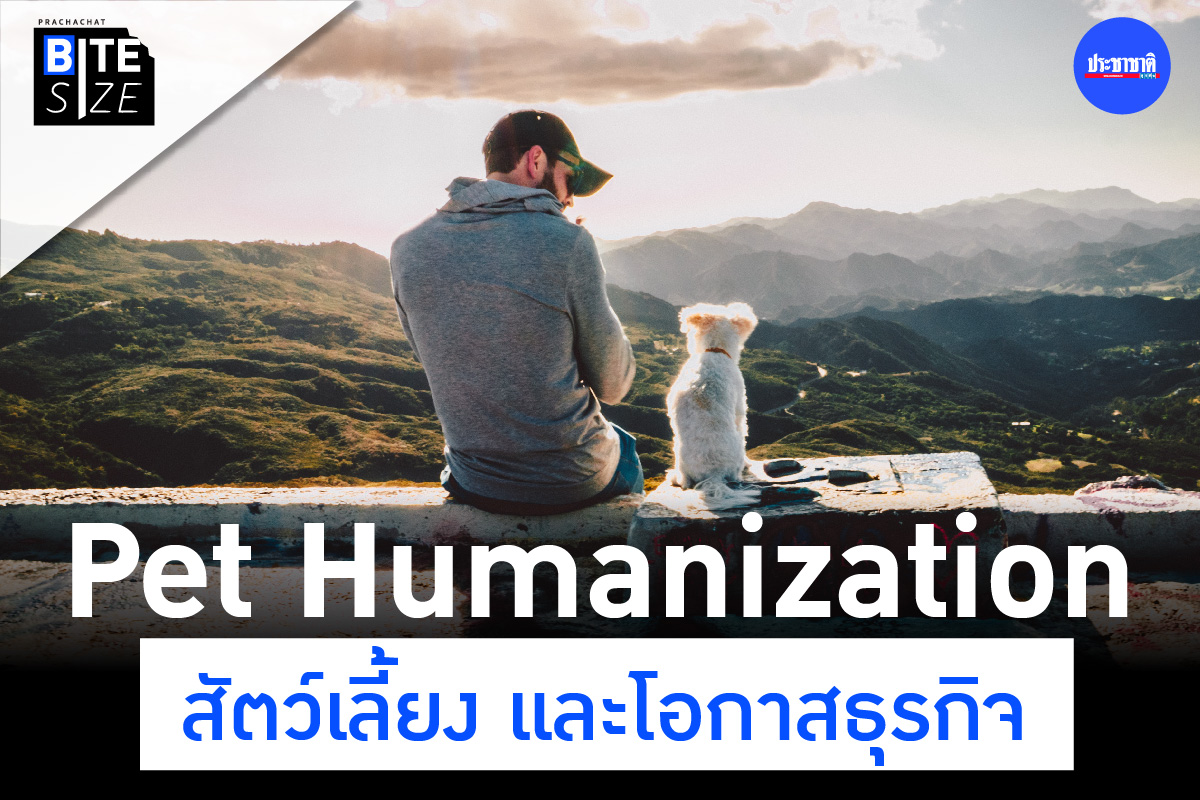 BITE SIZE : Pet Humanization โอกาสของธุรกิจเกี่ยวกับสัตว์เลี้ยง