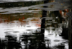 ฝนตก ฝน สภาพอากาศ
