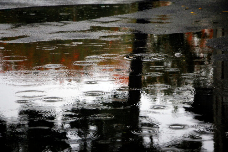 ฝนตก ฝน สภาพอากาศ