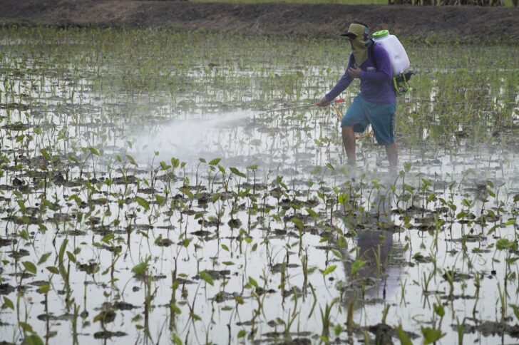 เกษตรกรกำลังพ่นยาฆ่าศัตรูพืช