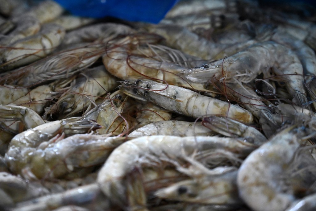 กุ้งสดแช่เย็นแช่แข็งไทย ส่งออกตลาด FTA โต 27% ลุยดันคู่ค้าเปิดตลาดเพิ่ม