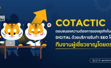 Cotactic ตอบโจทย์โลกธุรกิจในยุค Digital ด้วยบริการรับทำ SEO