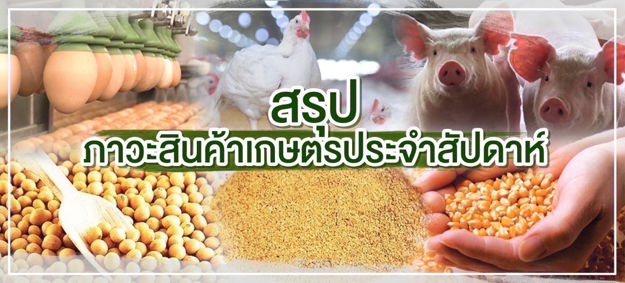 สรุปภาวะสินค้าเกษตรประจำสัปดาห์ วันที่ 26-30 มิถุนายน 2566