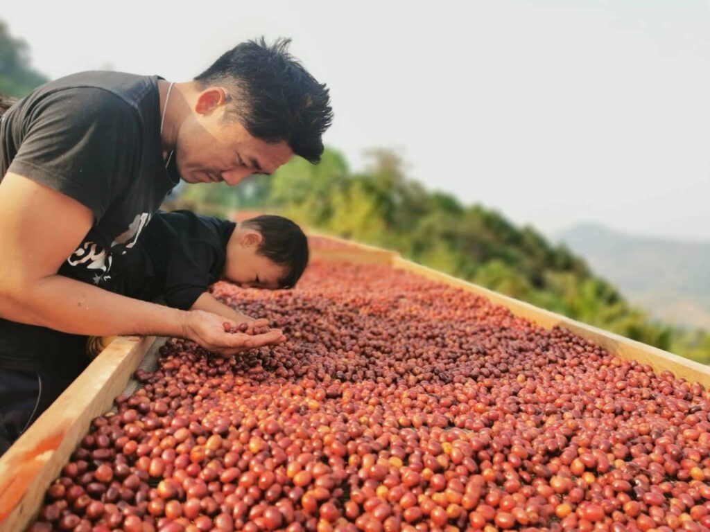 Thailand Coffee Fest 2023
