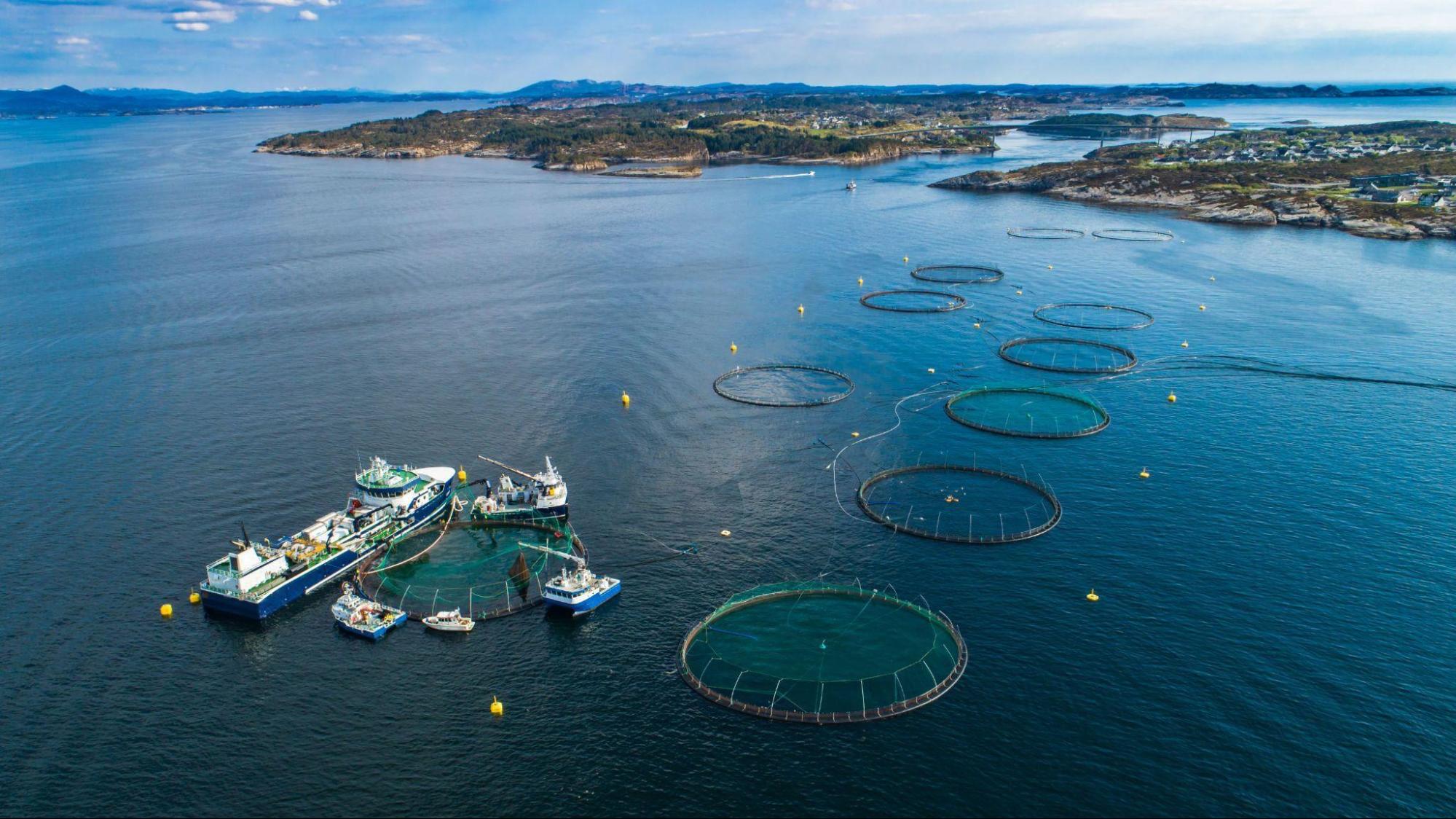 Thai Union ดัน SeaChange®2030 สานต่อความยั่งยืนเพื่อเราและโลก