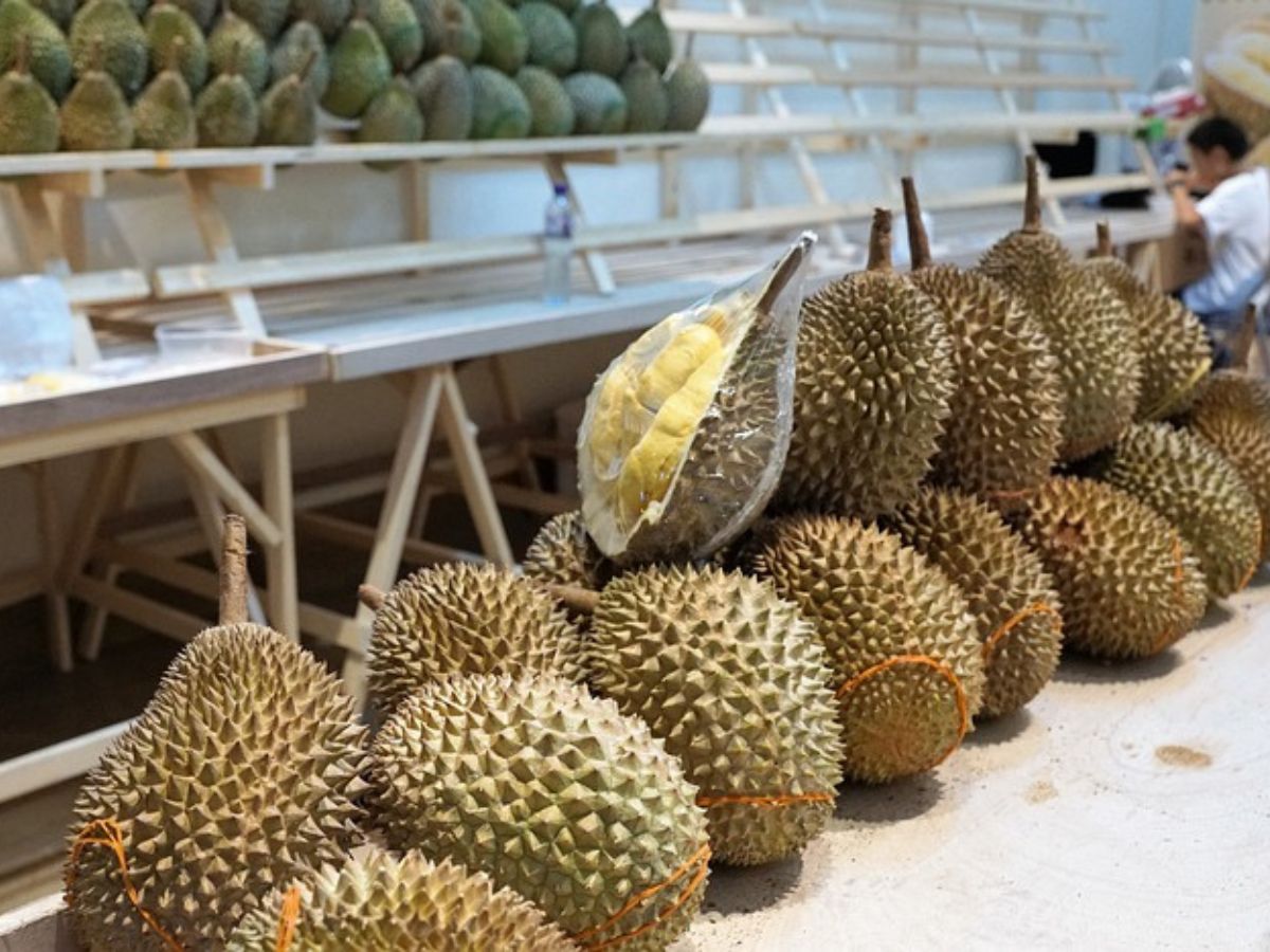ทุเรียนไทย 6 แสนตันครองแชมป์ตลาดจีนครึ่งปีแรก 66 เหนือกว่าเวียดนาม 3 เท่า