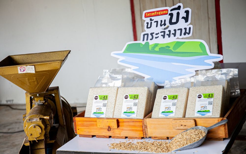 ข้าว กข 43