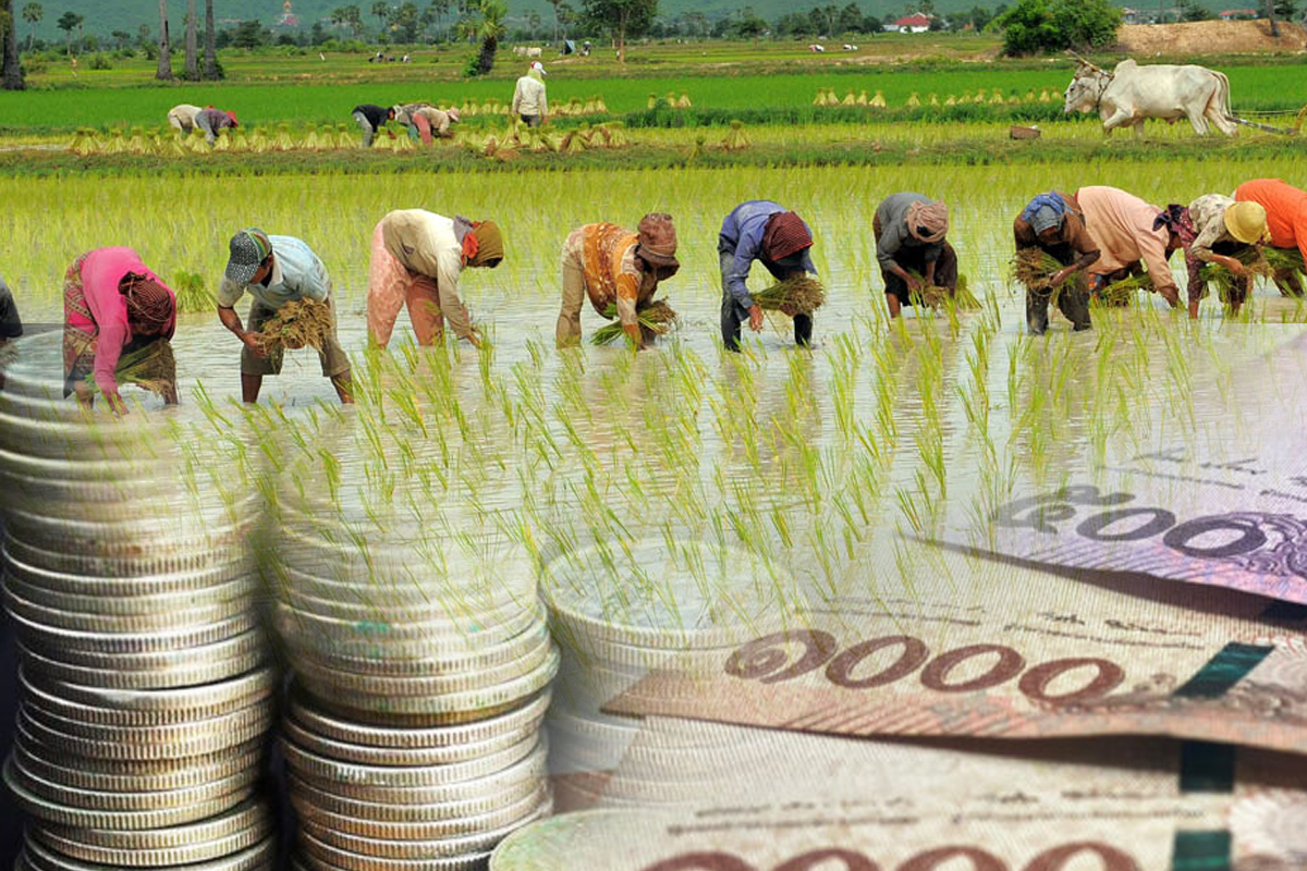 ดึงเงินกองทุนหมื่นล้านอุ้มเกษตรกร สู้ภัยแล้ง-ตั้งรัฐบาลยืดเยื้อ
