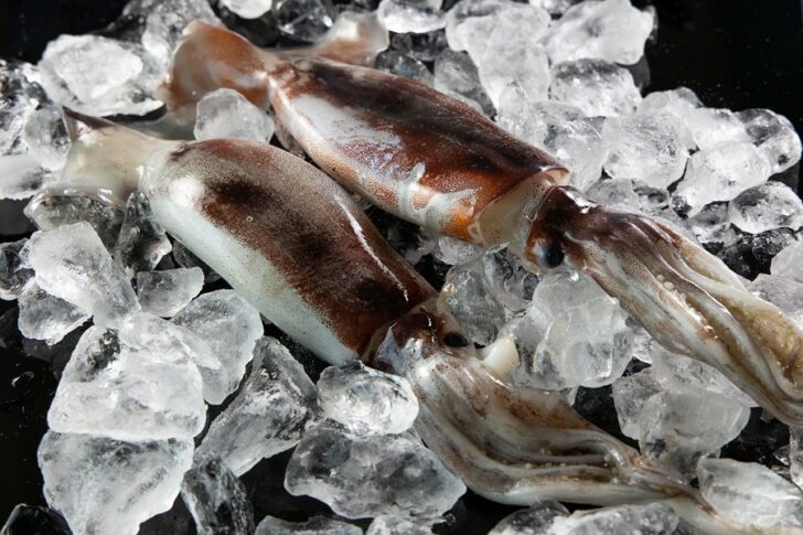 ปลาหมึก อาหารทะเลที่คนเกาหลีนิยมเป็นอันดับหนึ่ง