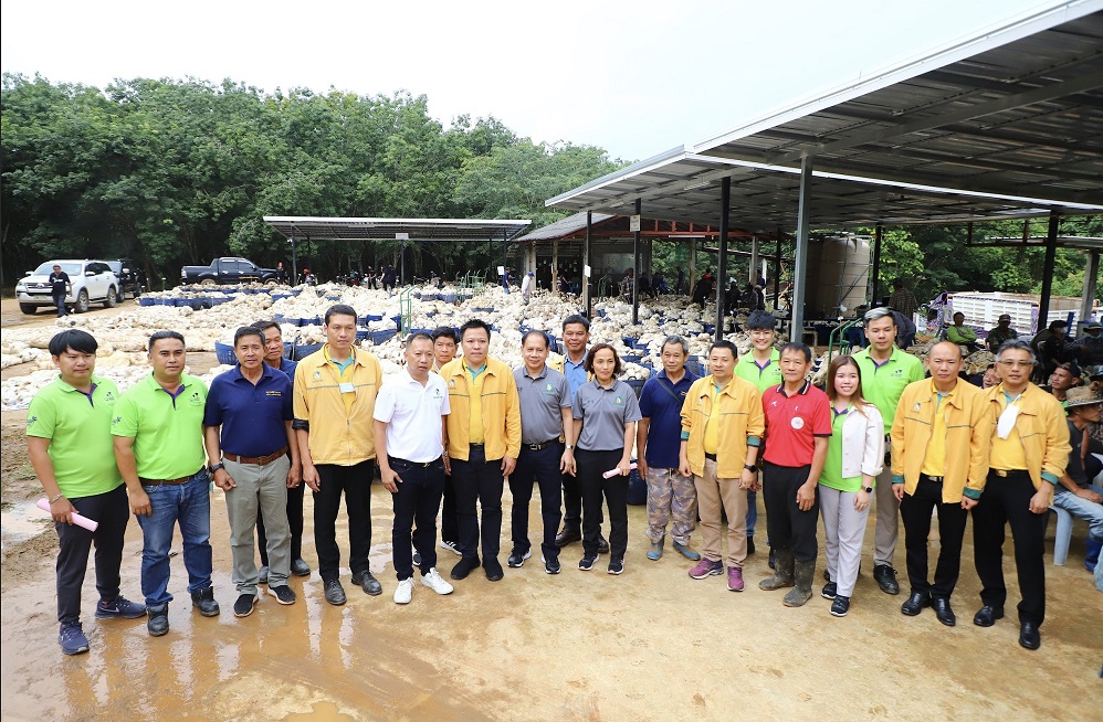 กยท.ชู ‘Thai Rubber Trade’ เชื่อมโยงข้อมูลซื้อขายยางผ่านระบบ