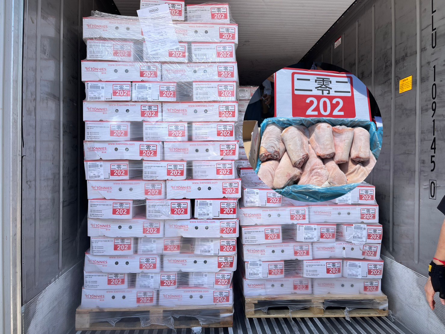 หมูเถื่อนทุบฟาร์มสูญแสนล้าน ผงะเจออีก 400 ตู้ต้องสงสัย