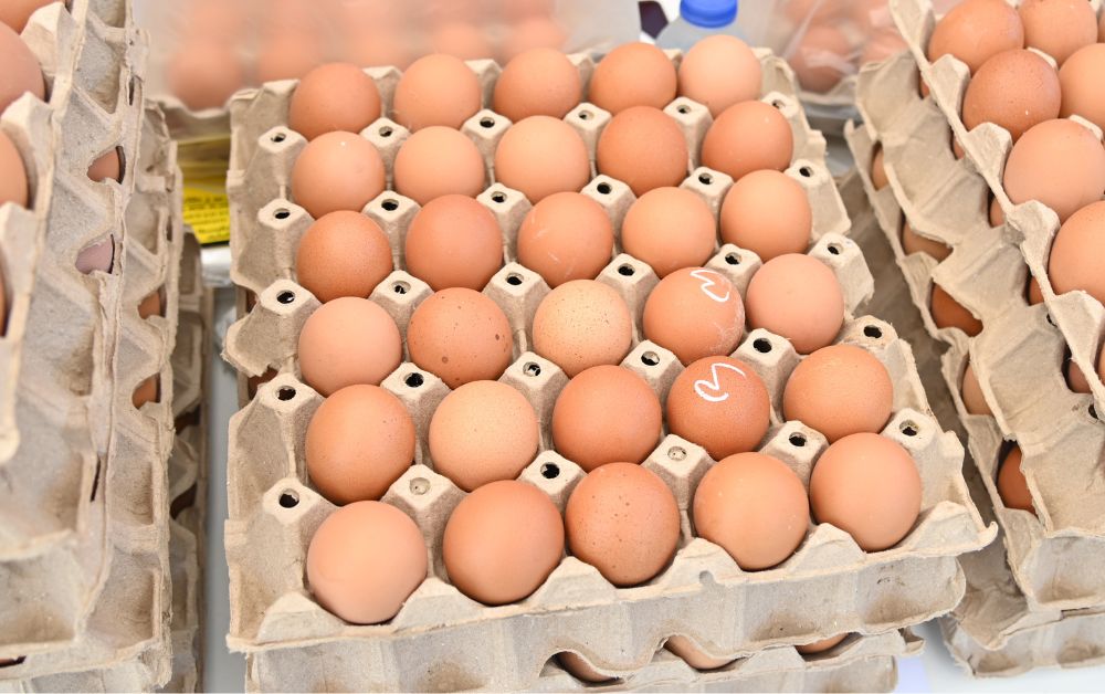 สหกรณ์ไก่ไข่ แจ้งปรับลดราคาไข่ไก่ฟองละ 20 สต. มีผล 27 ต.ค. นี้