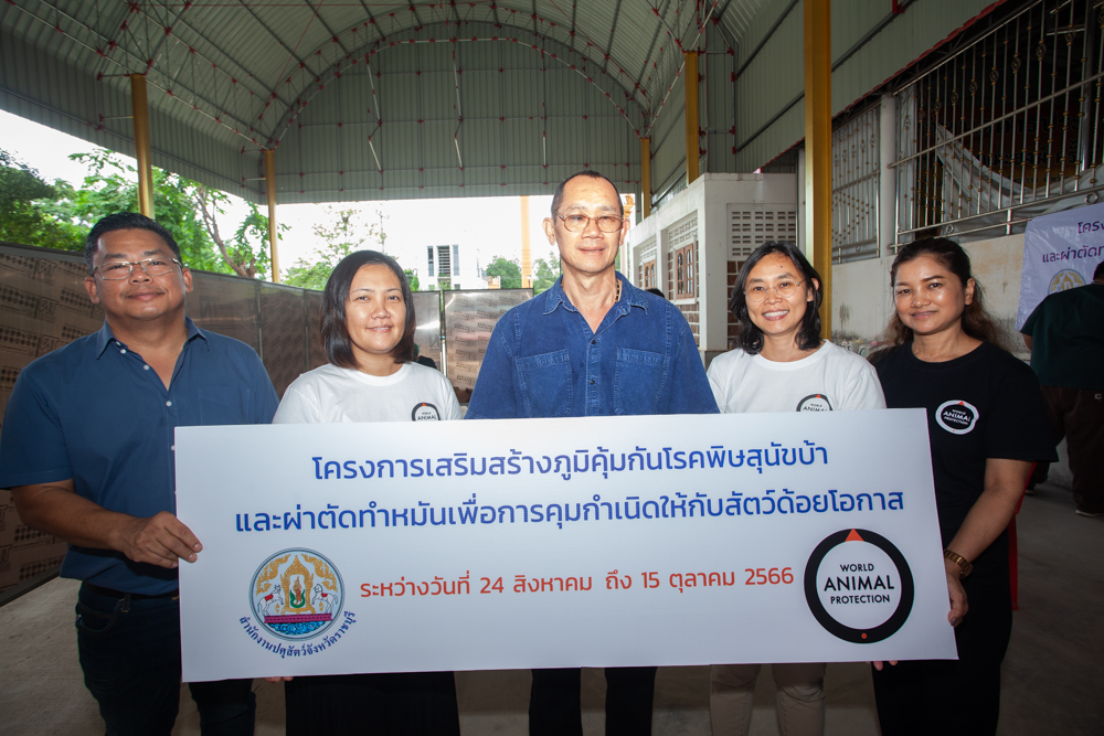 องค์กรพิทักษ์สัตว์แห่งโลกมอบวัคซีนป้องกันโรคพิษสุนัขบ้า