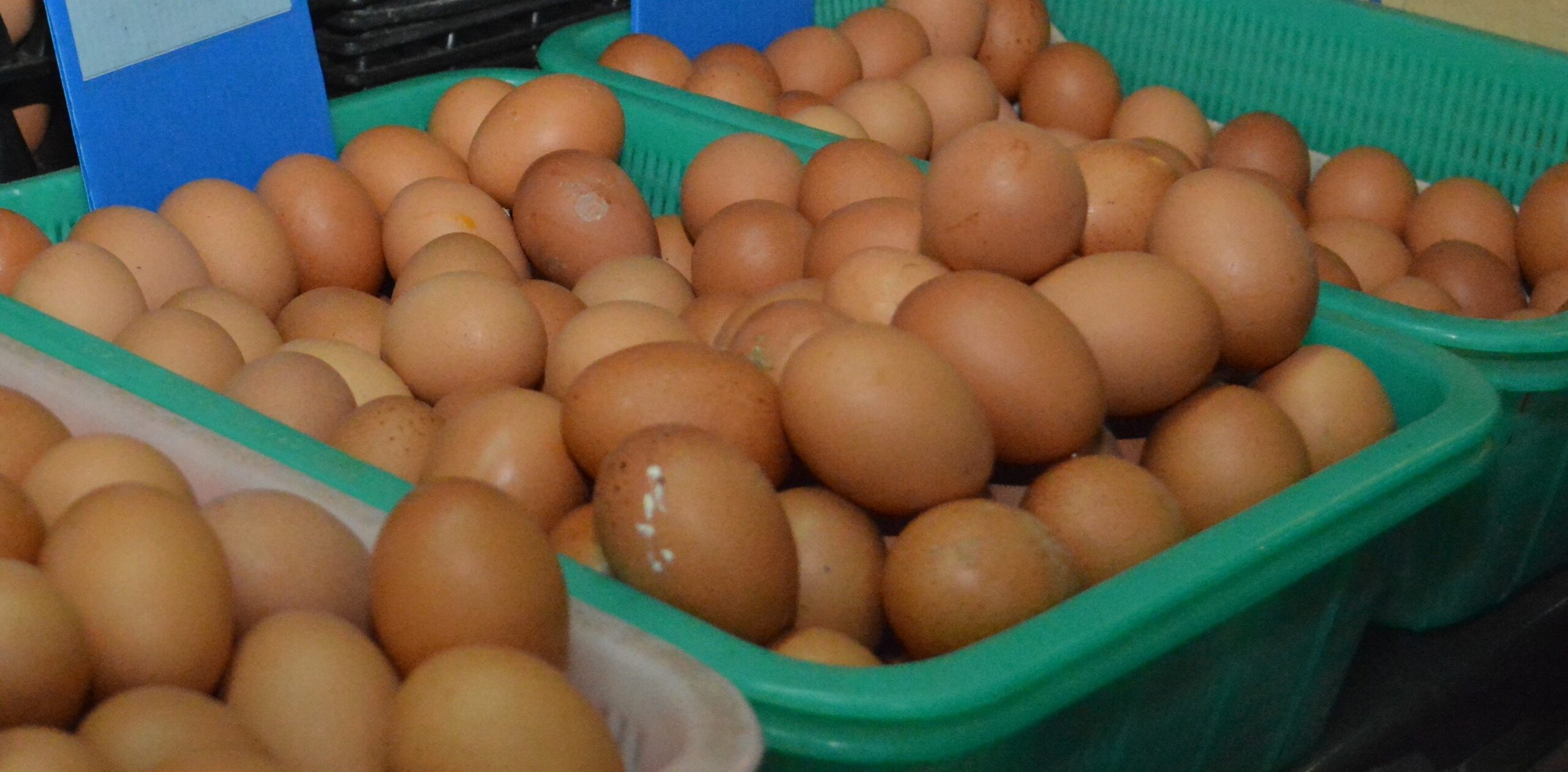 ไข่ไก่