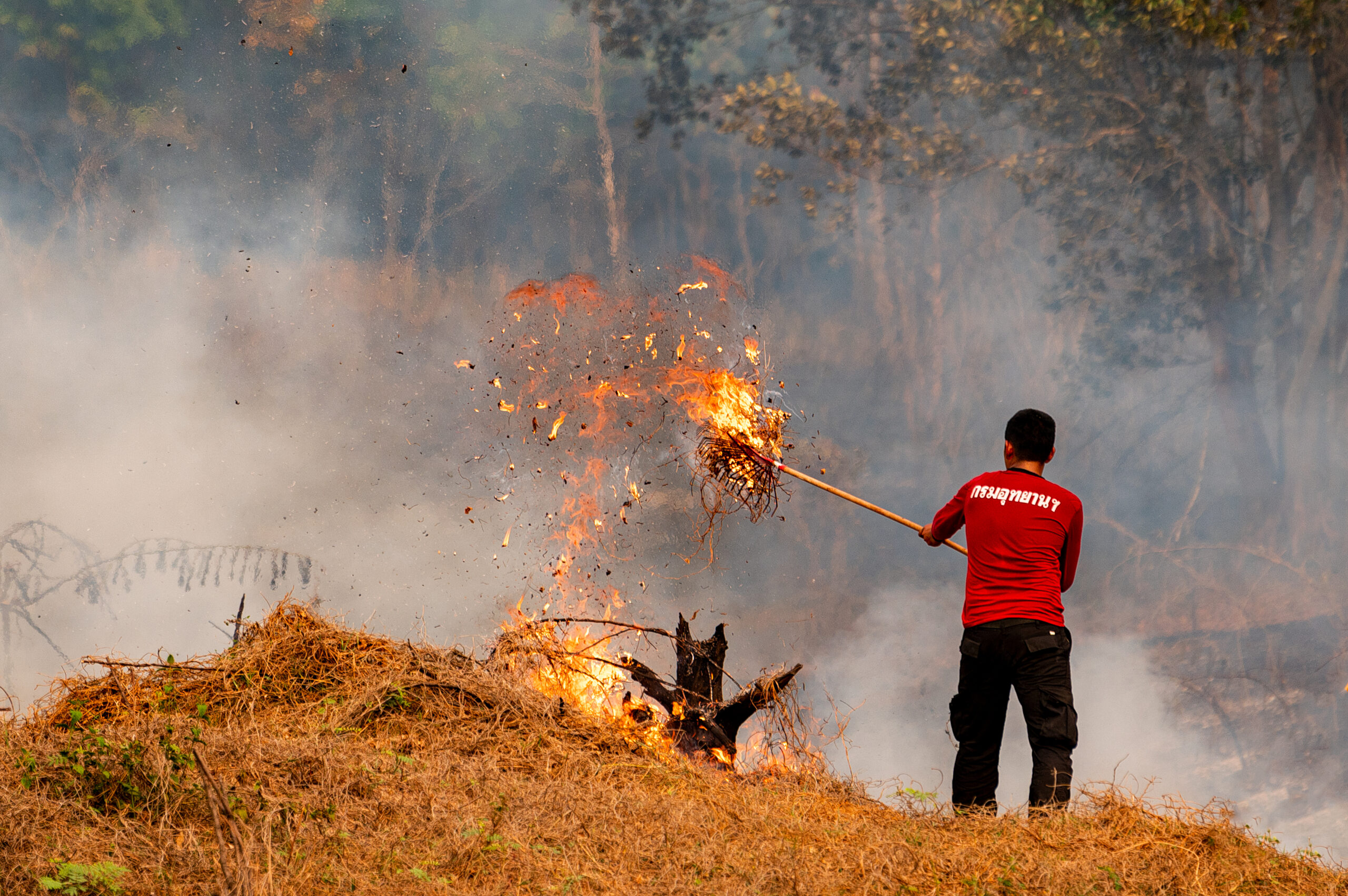 ข้อสั่งการ “พัชรวาท” แก้ PM 2.5 สั่งอุทยานปรับแผนตรึงพื้นที่ จัดระเบียบแก้ไฟป่า