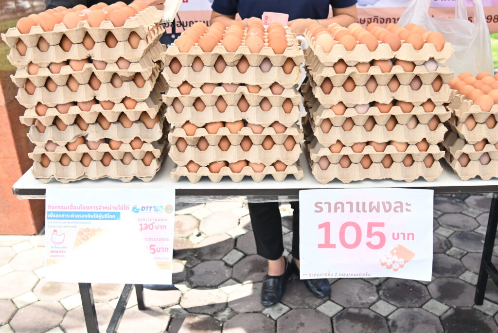 ไข่ไก่