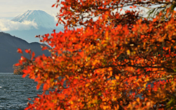 JAPAN-WEATHER-AUTUMN พยากรณ์ใบไม้เปลี่ยนสีประเทศญี่ปุ่น 2023