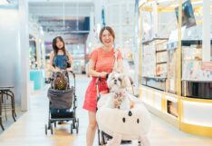 โลตัส เอาใจทาสหมา-แมว ให้พาสัตว์เลี้ยงเข้ามาช้อปได้ใน 100 สาขา