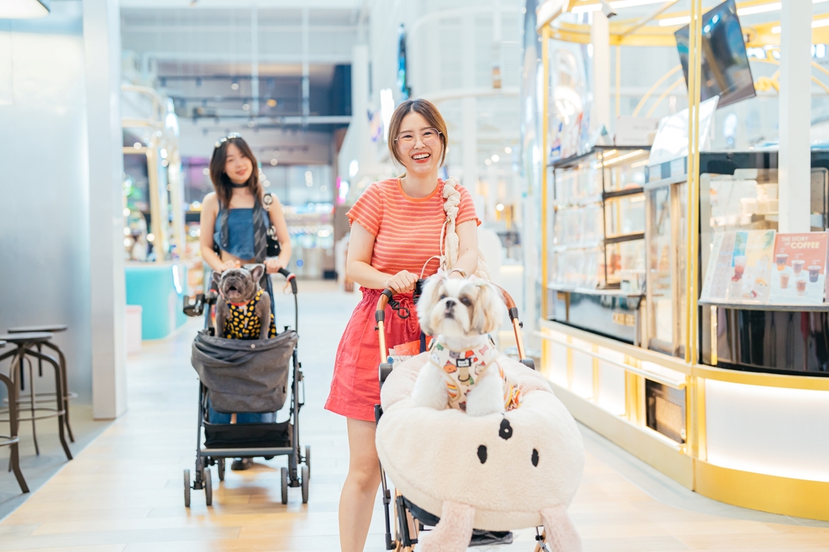 โลตัส เอาใจทาสหมา-แมว ให้พาสัตว์เลี้ยงเข้ามาช็อปได้ใน 100 สาขา