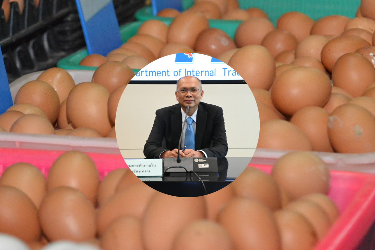 ราคาอาหารสัตว์พุ่ง-ผลผลิตลด เอ้กบอร์ดปรับราคาไข่ไก่เพิ่มขึ้น 13%