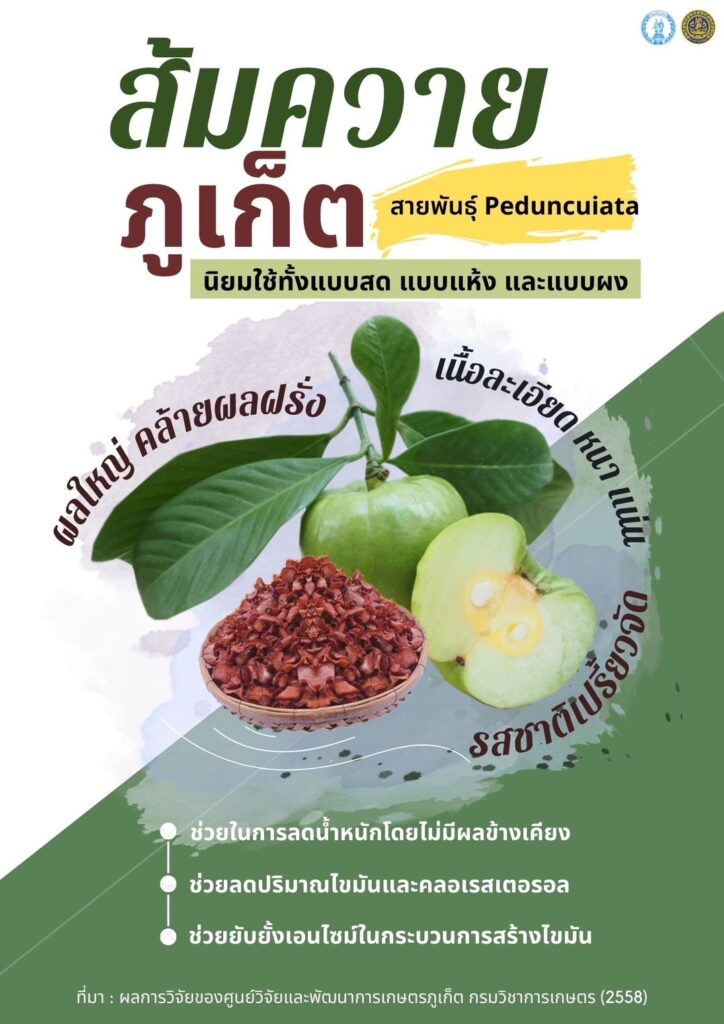 ส้มควายภูเก็ต