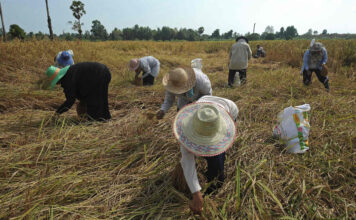 เกษตรกร